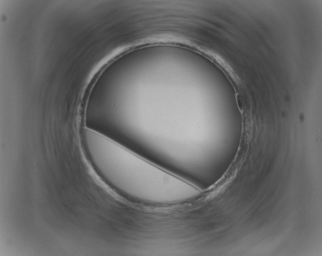 X0000083031134200702020911