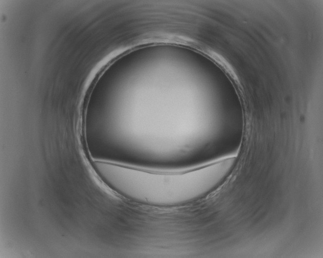 X0000083031136200702020911
