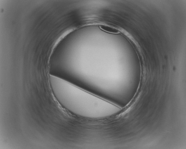 X0000083031145200702020911