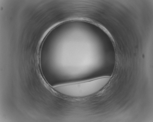 X0000083031148200702020911
