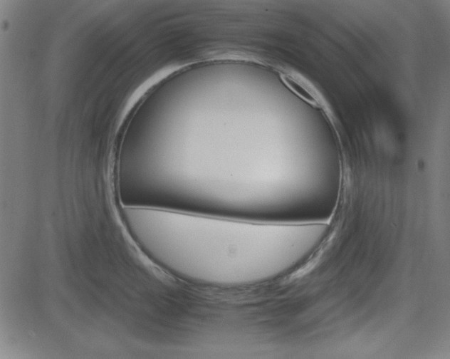 X0000083031149200702020911