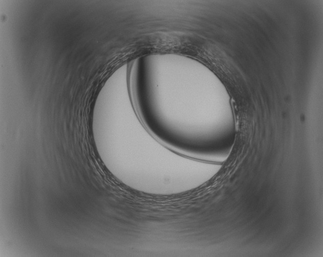 X0000083031153200702020910