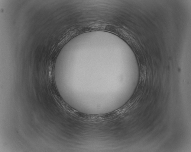 X0000083031154200702020910