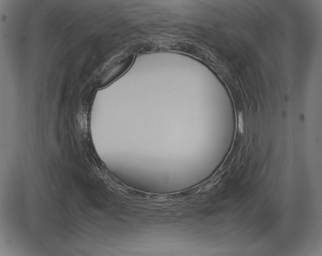X0000083031155200702020910