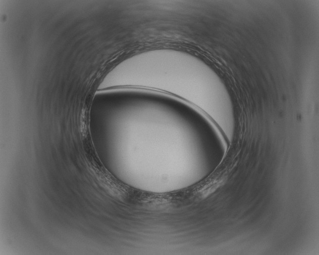 X0000083031156200702020910