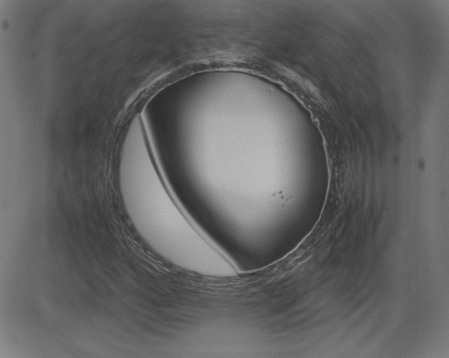X0000083031160200702020910