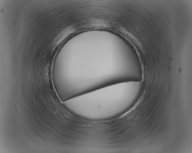 X0000083031162200702020910
