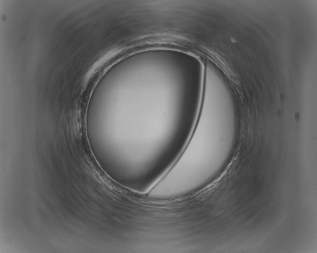 X0000083031164200702020910