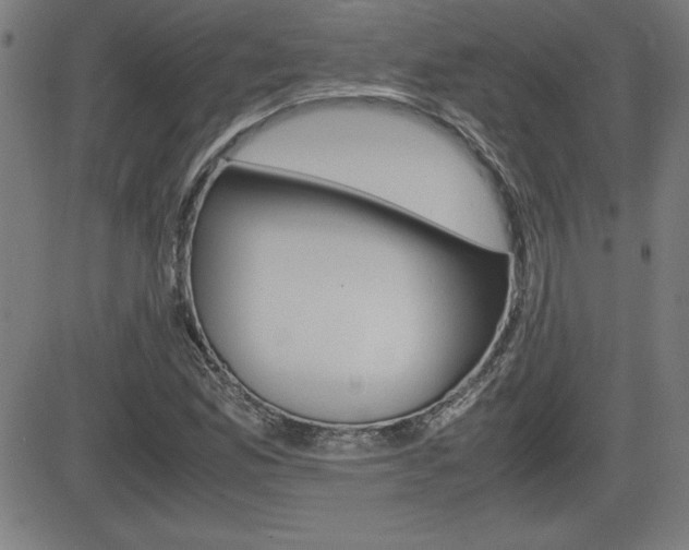X0000083031165200702020910