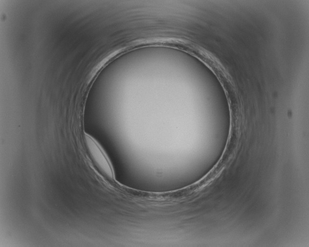 X0000083031177200702020910