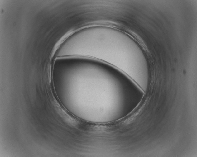 X0000083031180200702020910