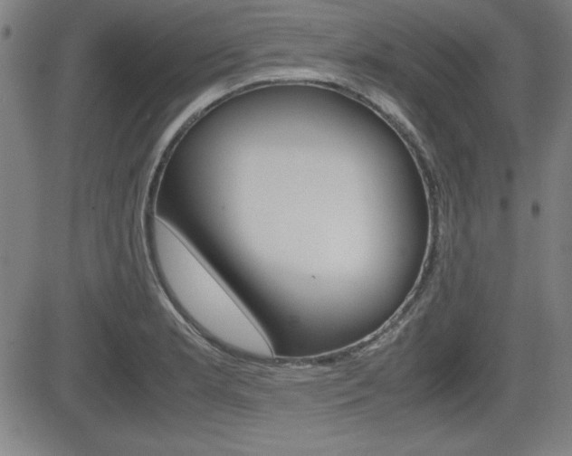 X0000083031181200702020910