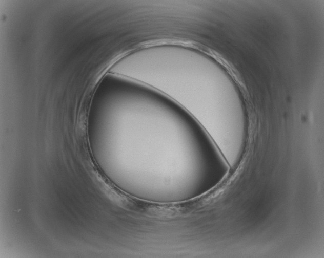 X0000083031185200702020910