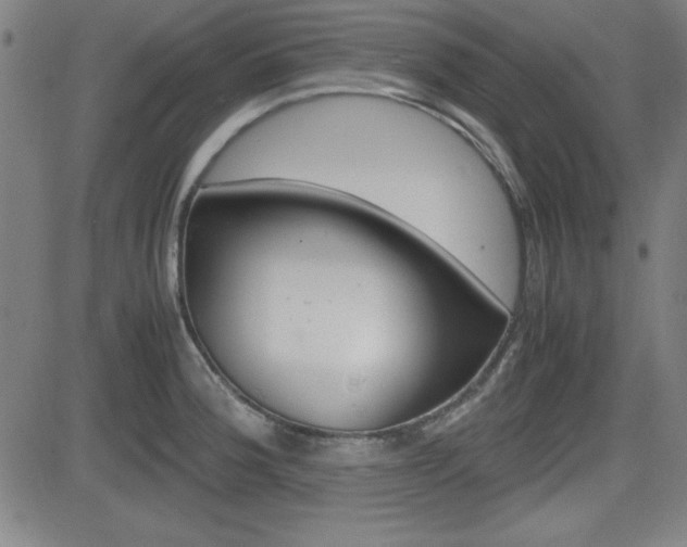 X0000083031188200702020910
