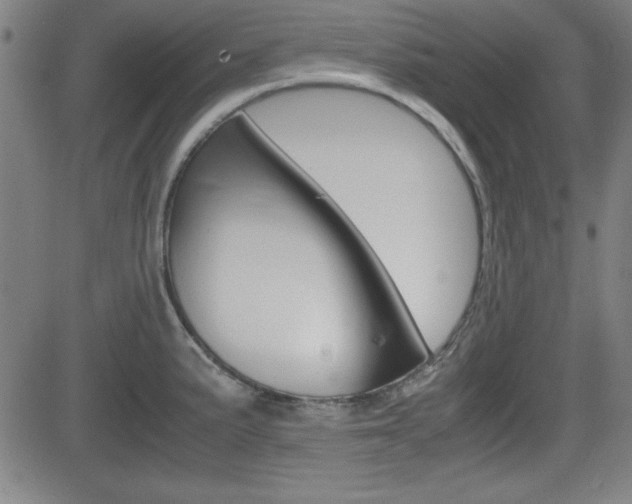 X0000083031191200702020910