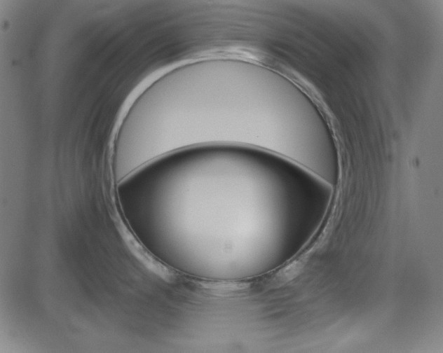 X0000083031200200702020910