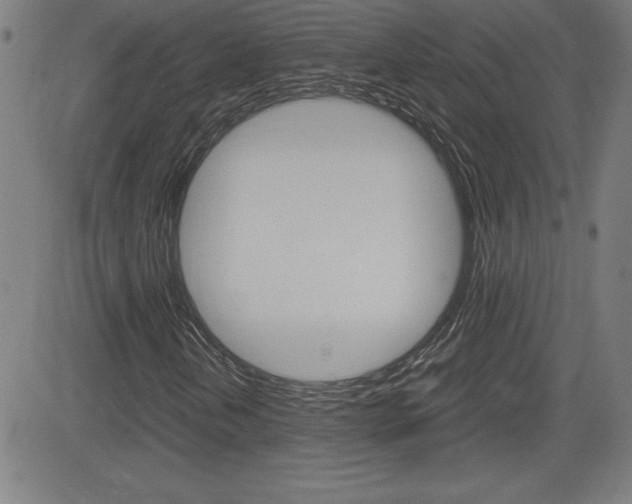 X0000083031202200702020909