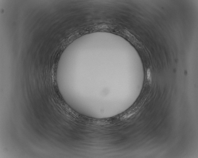 X0000083031203200702020909