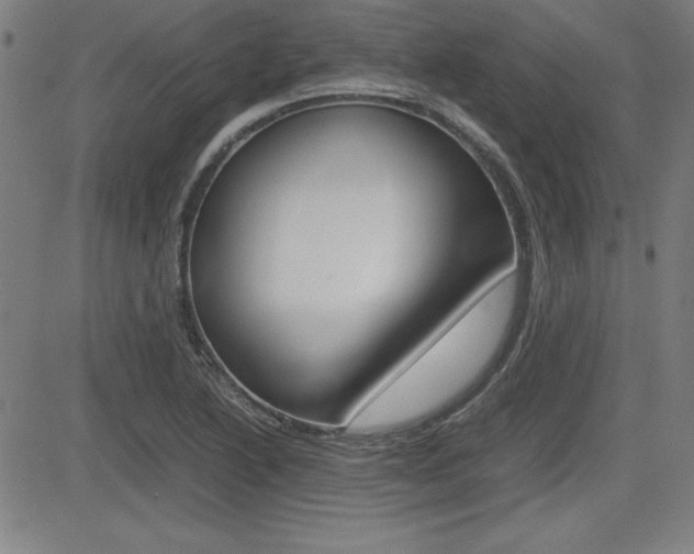 X0000083031222200702020909