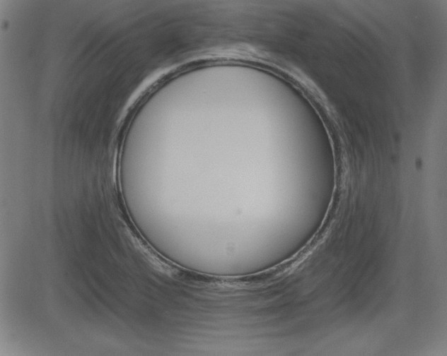 X0000083031224200702020909