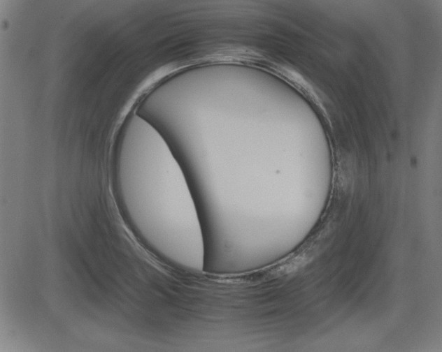 X0000083031227200702020909