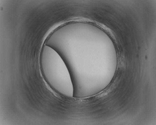 X0000083031231200702020909