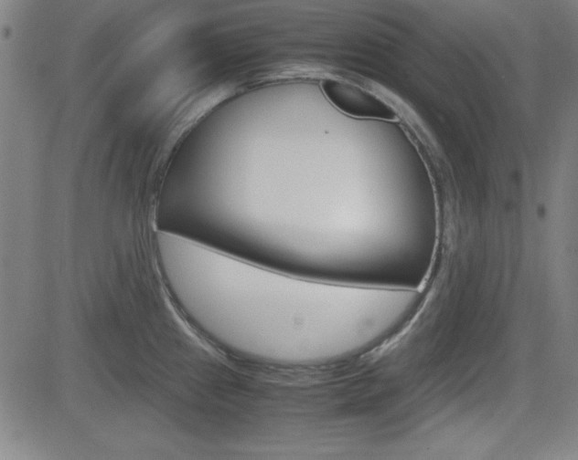 X0000083031241200702020910