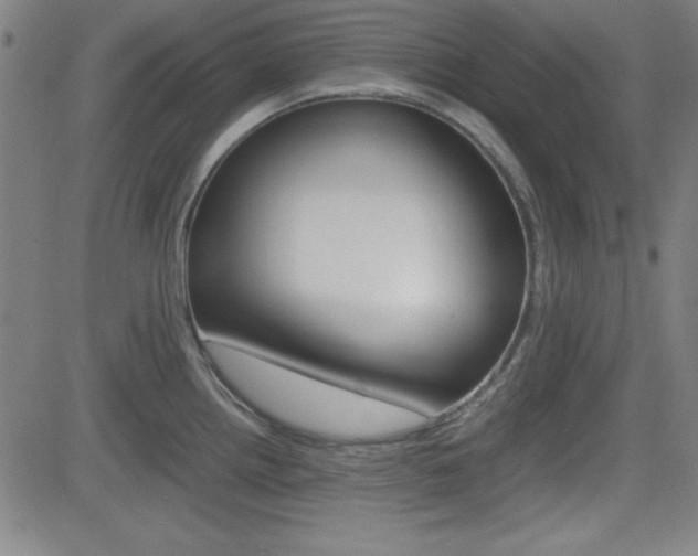 X0000083031242200702020910