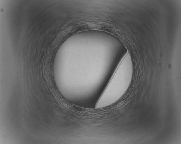 X0000083031249200702020909