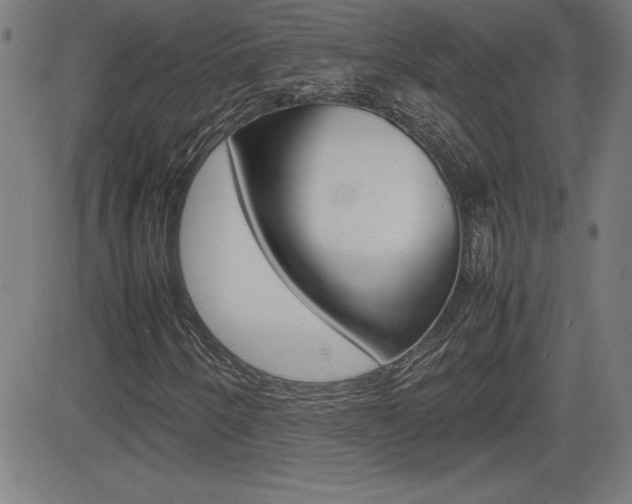 X0000083031250200702020909