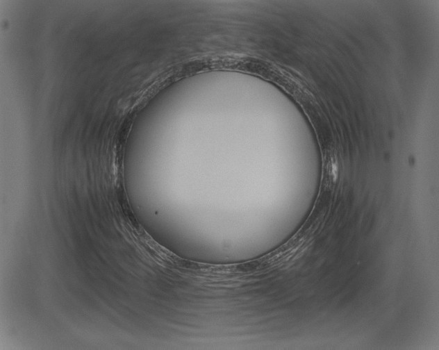 X0000083031252200702020909