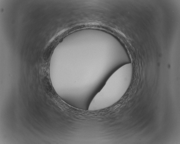 X0000083031255200702020909