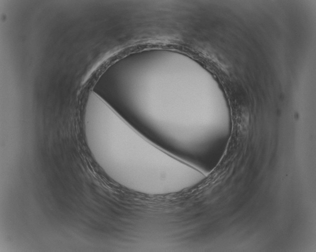 X0000083031256200702020909