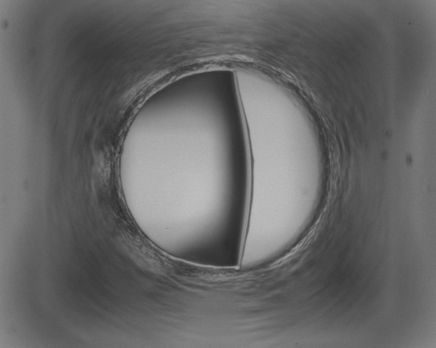 X0000083031257200702020909
