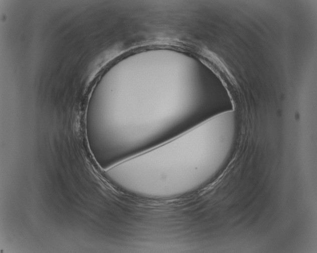 X0000083031260200702020909
