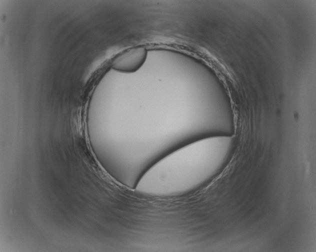 X0000083031262200702020909