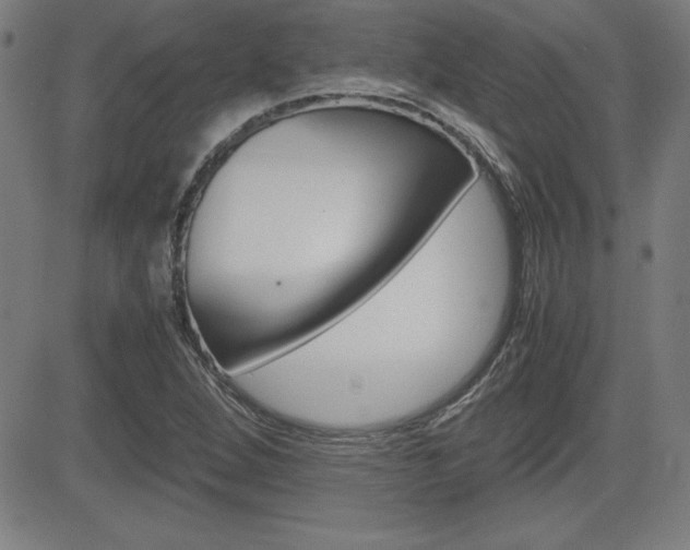 X0000083031264200702020909