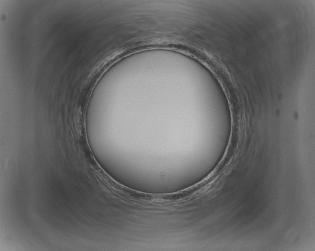 X0000083031265200702020909
