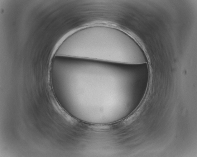 X0000083031296200702020908