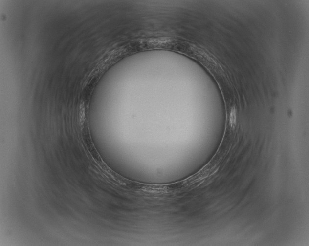 X0000083031299200702020907