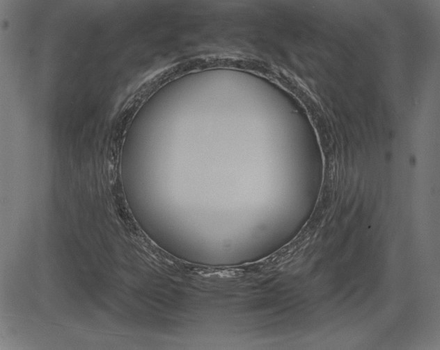 X0000083031303200702020907