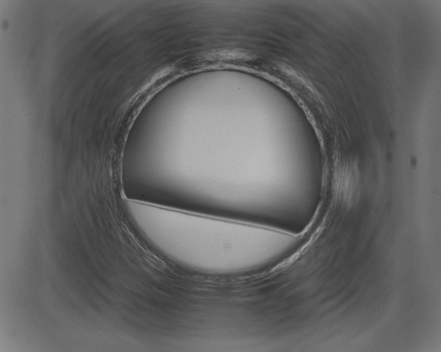 X0000083031305200702020907