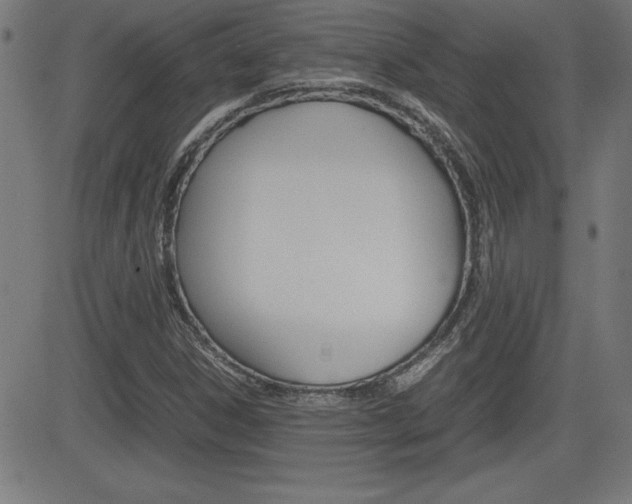 X0000083031306200702020908