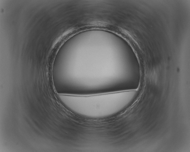 X0000083031307200702020908