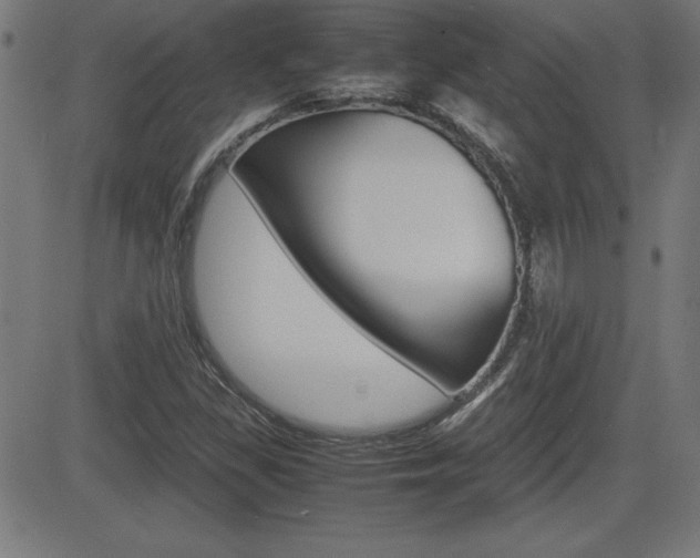X0000083031309200702020908