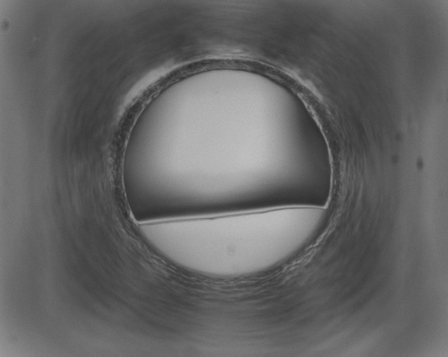 X0000083031311200702020908