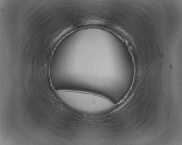 X0000083031313200702020908