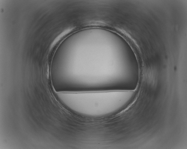 X0000083031317200702020908