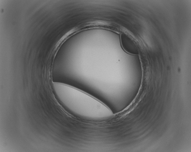 X0000083031321200702020908