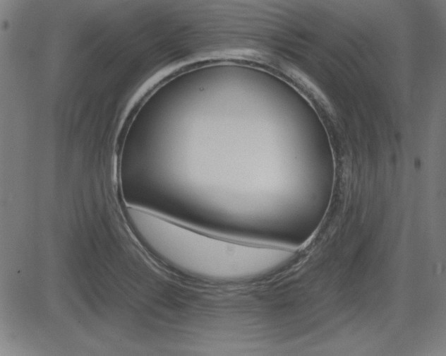 X0000083031324200702020908